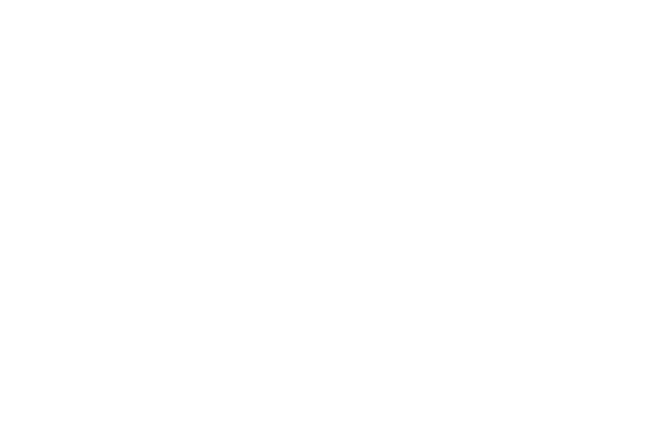 Nardi